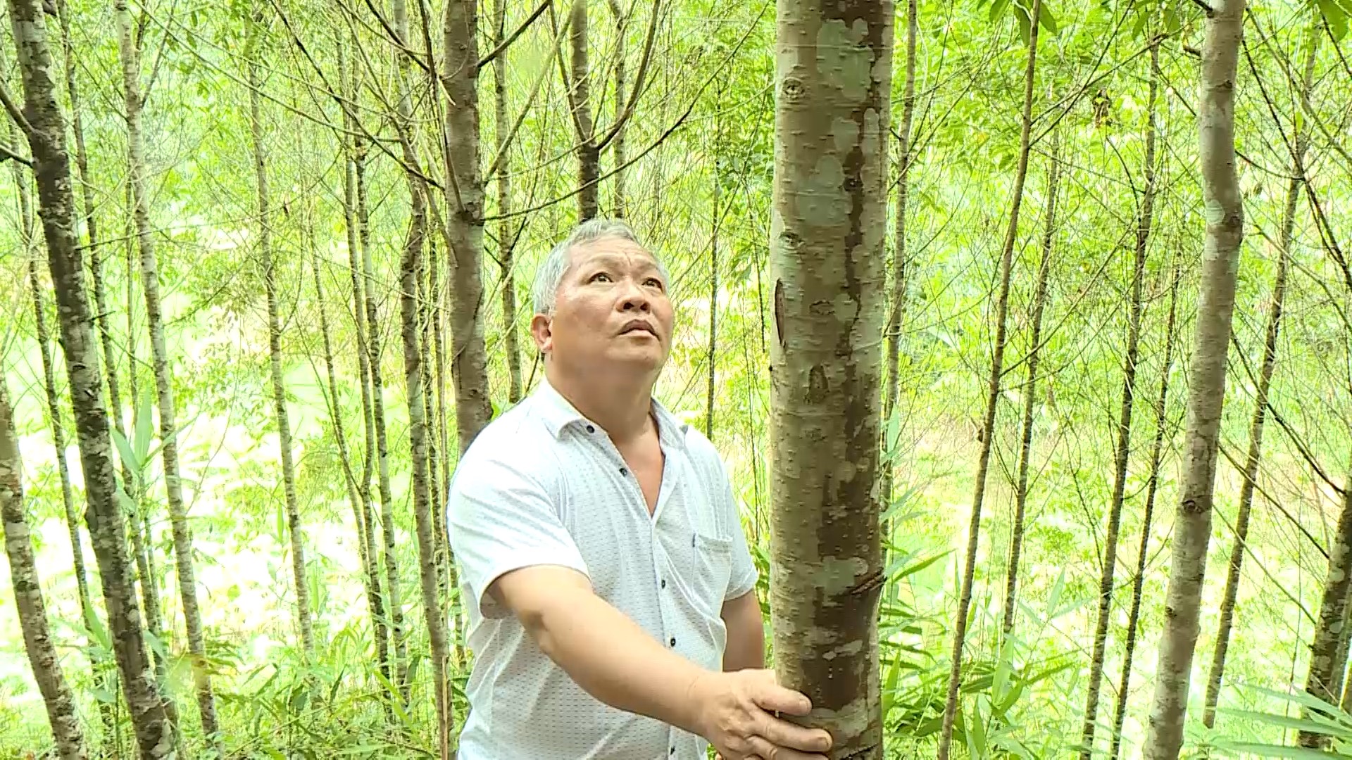 Bí thư chi bộ gương mẫu